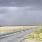 Drought conditions still pervasive in Eastern Cape, despite rain
