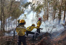 Western Cape gears up for start of fire season Fire season 2018