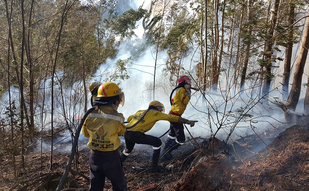 Fire season 2018