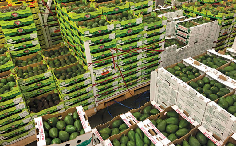 Prepare to sell much more fruit and veg online Prepare to sell much more fruit and veg online