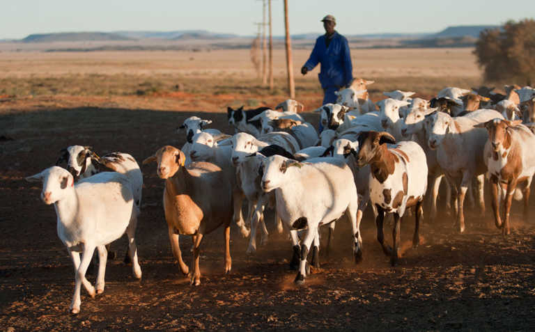 Farmers urged to participate in the Producer/Farmer Register Farmers urged to participate in the Producer/Farmer Register