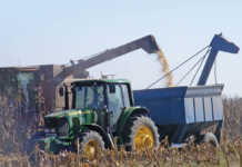 Diesel holds on to its record-breaking rise