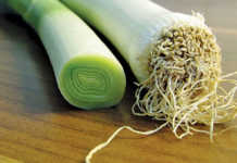 Growing leeks in your garden