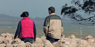 Gloomy SA needs happy farmers