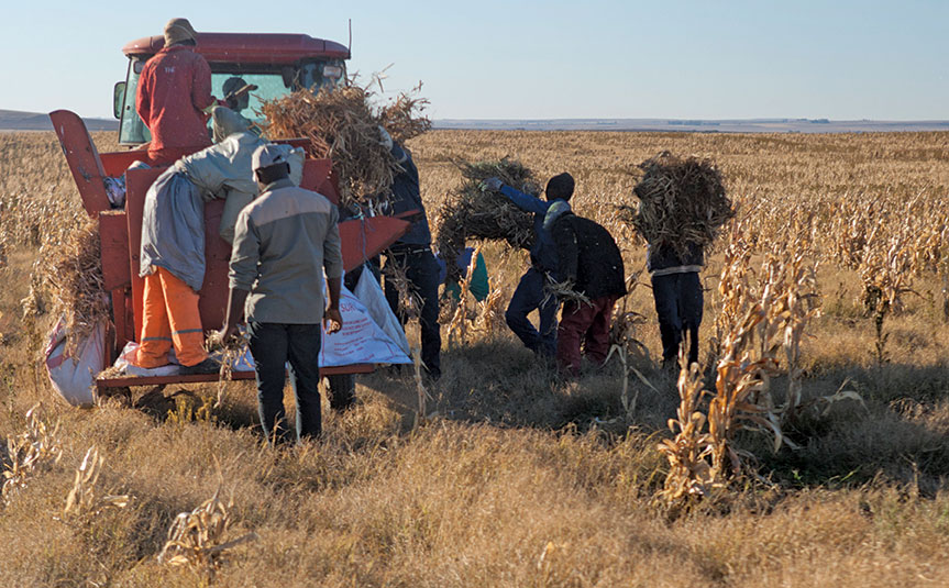 Certainty and support needed to create rural jobs