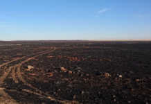 Counting the cost of the Trompsburg fires ‘Classic extreme fire conditions’ in Trompsburg inferno