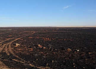 ‘Classic extreme fire conditions’ in Trompsburg inferno