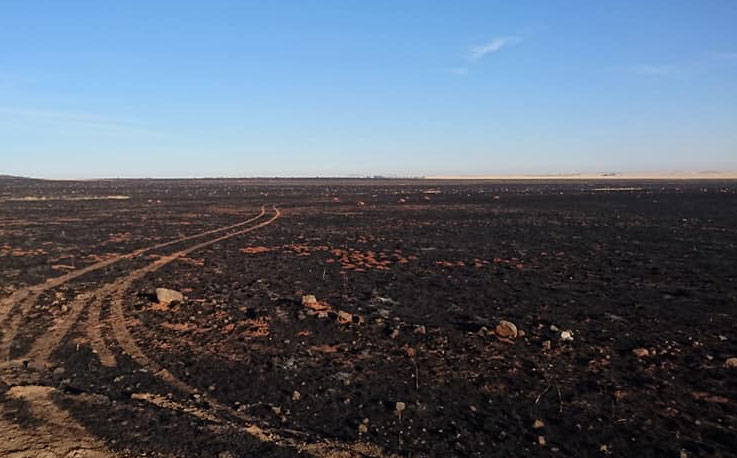 Counting the cost of the Trompsburg fires Counting the cost of the Trompsburg fires