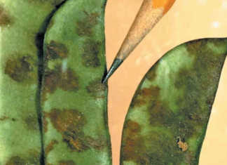 Dealing with anthracnose