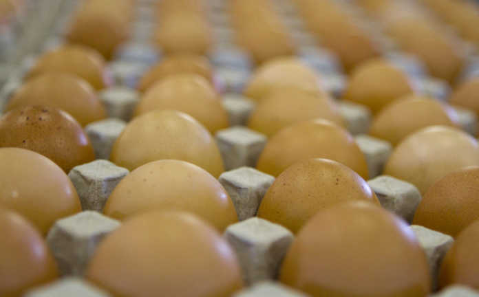 ‘Egg imports continuing despite the local market’s recovery’