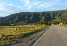 Life sentences for Alexandria farmer murderers welcomed Life sentences for Alexandria farmer murderers welcomed