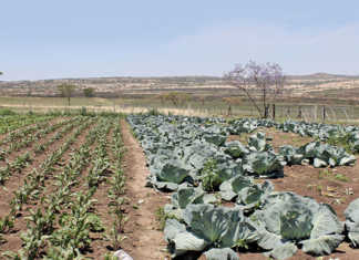 ‘Careful planning needed to ensure success’