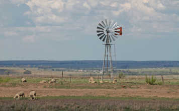 Proper estate planning is necessary