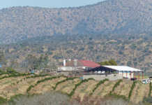 Parliament to set up land expropriation committee