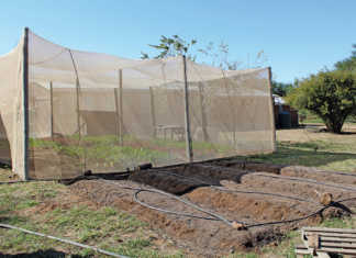 Hoedspruit Hub