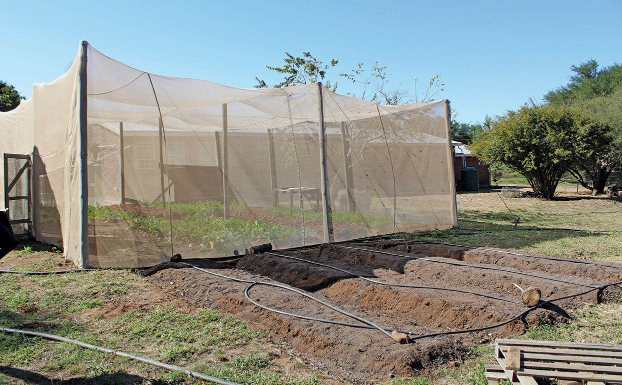 Hoedspruit Hub