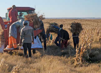 ‘Public-private partnerships could boost small-scale farmers’ ‘Public-private teamwork must boost KZN small-scale farmers’