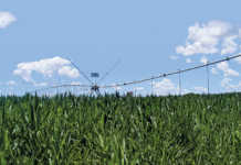 SA agribusiness confidence hits nine-year low