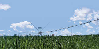 SA agribusiness confidence hits nine-year low