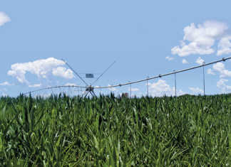 SA agribusiness confidence hits nine-year low