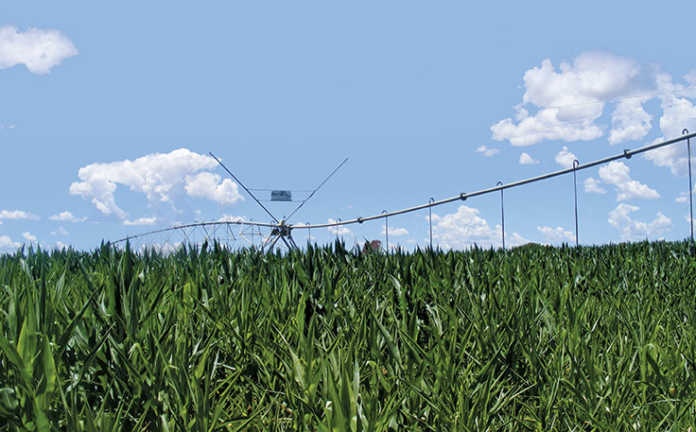 SA agribusiness confidence hits nine-year low