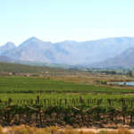 Western Cape farmers’ water allocations restored