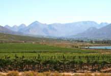 Western Cape farmers’ water allocations restored Western Cape farmers’ water allocations restored