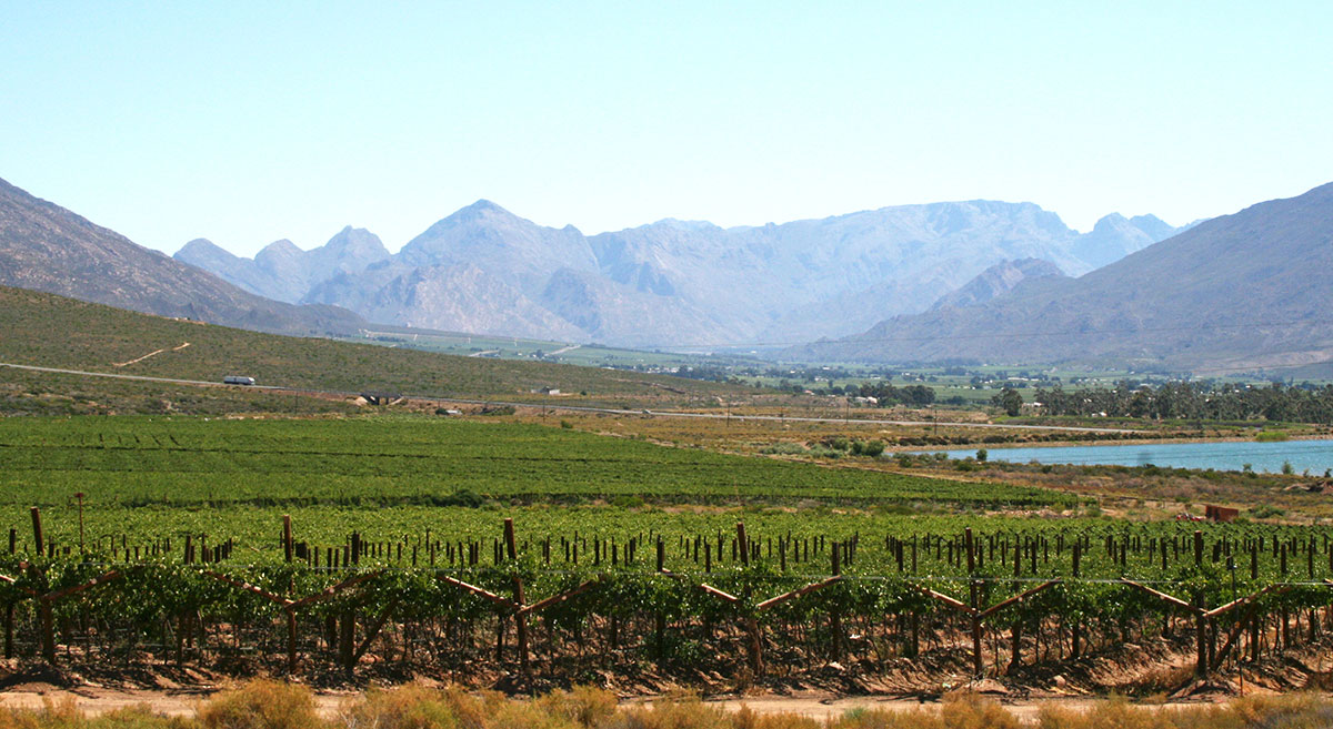 Western Cape farmers’ water allocations restored
