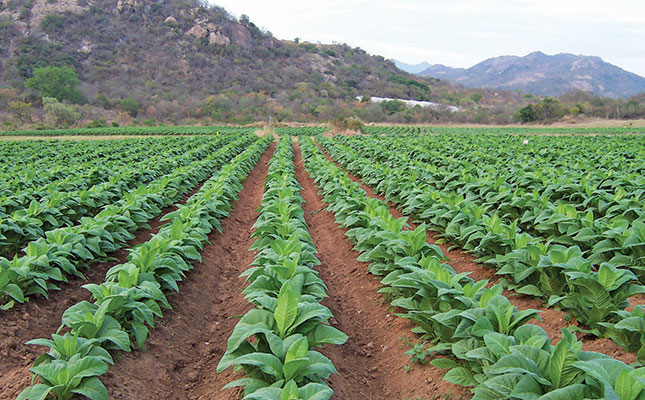 ‘Zimbabwe’s land redistribution marred by corruption’ ‘Zimbabwe’s land redistribution marred by corruption’