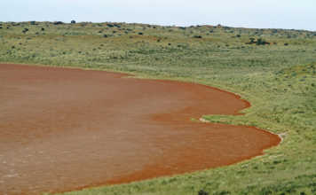 The heart-shaped pan