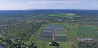 Aquaculture in Africa: the successes and failures