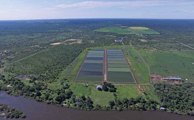 Aquaculture in Africa: the successes and failures Aquaculture in Africa: the successes and failures