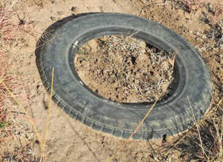 How old tyres can stop soil erosion in its tracks