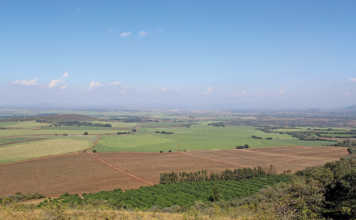 Land reform: Joint venture between seller and community pays off