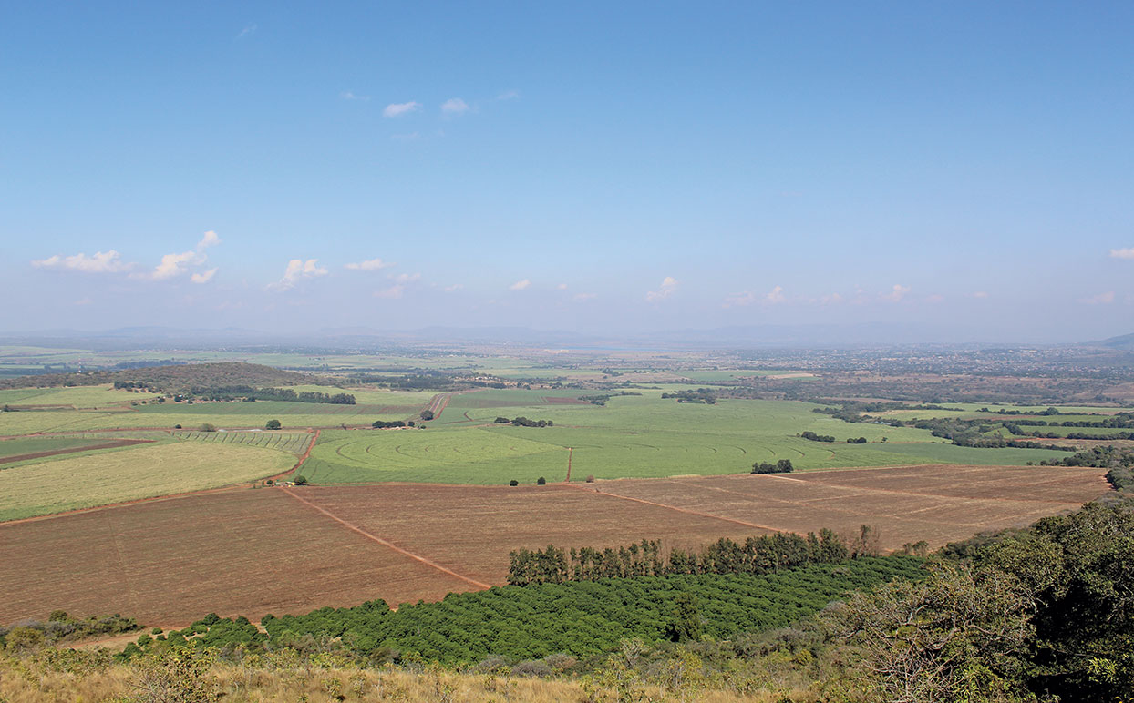 Land reform: Joint venture between seller and community pays off