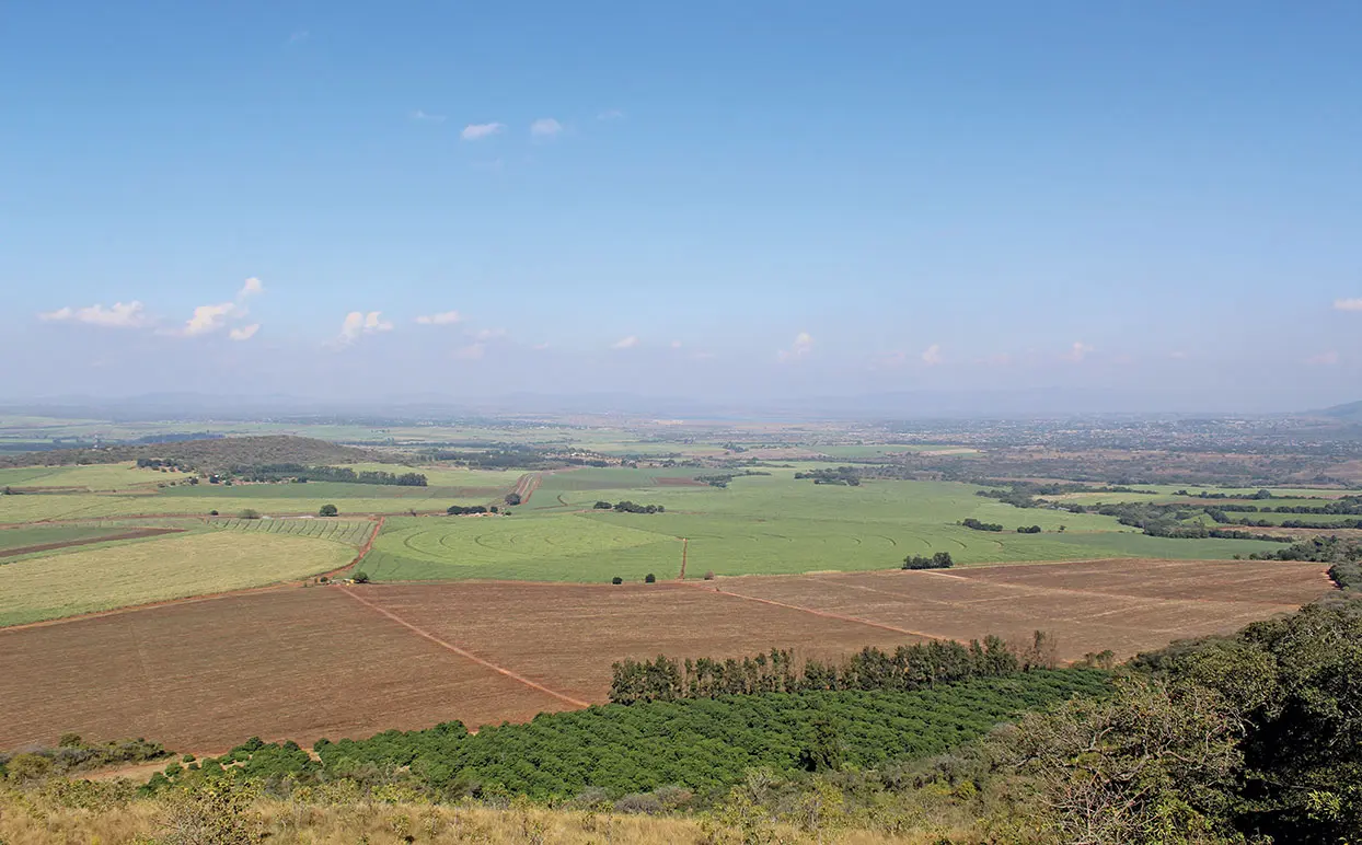 Land reform: Joint venture between seller and community pays off