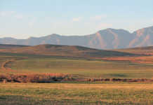 Officials investigated for land fraud Officials investigated for land fraud