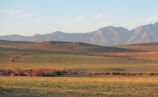 Officials investigated for land fraud