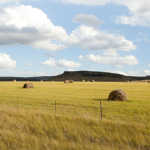 New Year’s messages from agri leaders