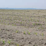 Climate change: it’s happening faster than you think