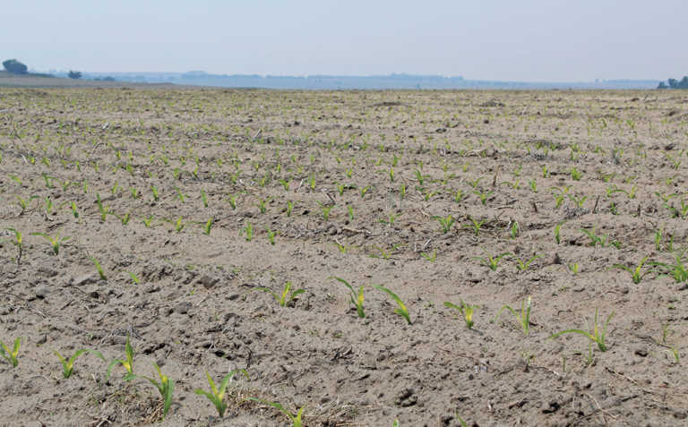 Climate change: it’s happening faster than you think