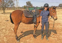 Fitting a McClellan saddle