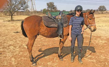 Fitting a McClellan saddle