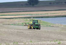 Weeds: the biggest threat to SA’s crop production Weeds: the biggest threat to SA’s crop production