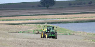 Weeds: the biggest threat to SA’s crop production