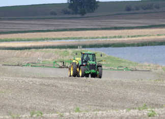 Weeds: the biggest threat to SA’s crop production Weeds: the biggest threat to SA’s crop production