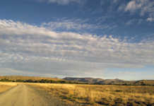 Farm resident better trained to defend themselves – Afriforum