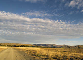 Farm resident better trained to defend themselves – Afriforum