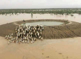 Queensland’s horror flood fallout Queensland’s horror flood fallout