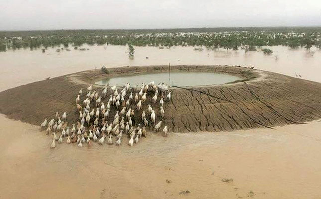 Queensland’s horror flood fallout Queensland’s horror flood fallout